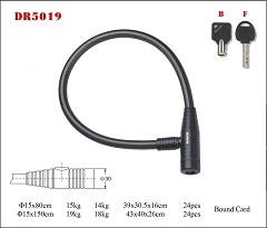 DR5019